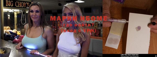 ПСИЛОЦИБИНОВЫЕ ГРИБЫ Алексеевка