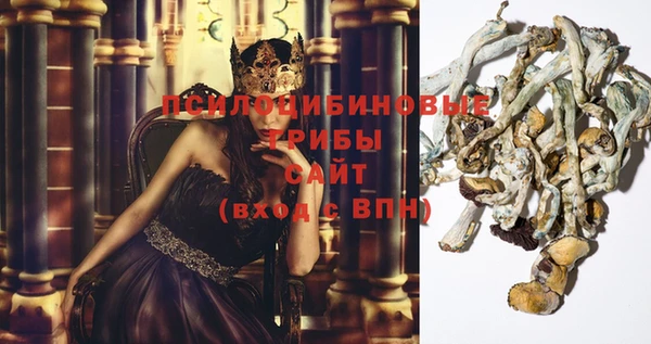 ПСИЛОЦИБИНОВЫЕ ГРИБЫ Алексеевка