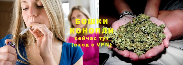 ПСИЛОЦИБИНОВЫЕ ГРИБЫ Алексеевка