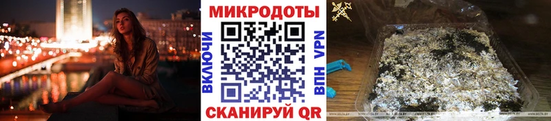 Псилоцибиновые грибы Psilocybe  Тосно 
